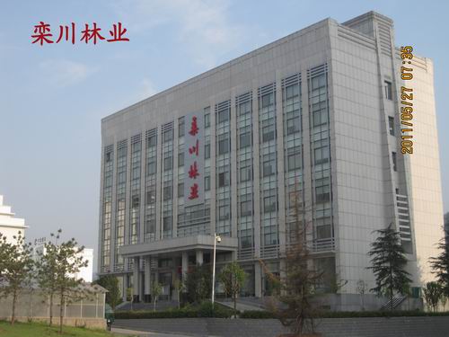 栾川林业